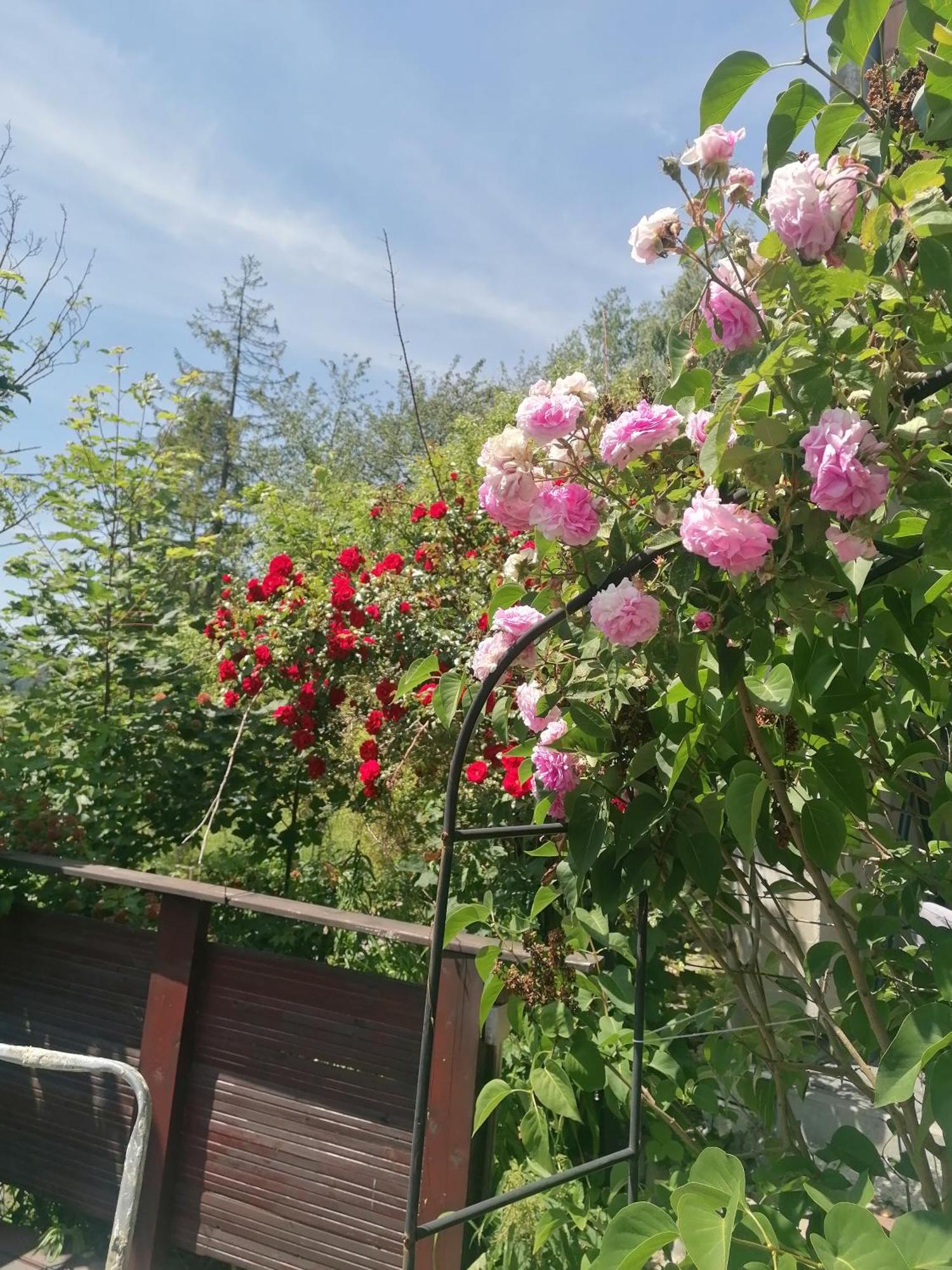 Na Gorce Ferienhaus Szczyrk